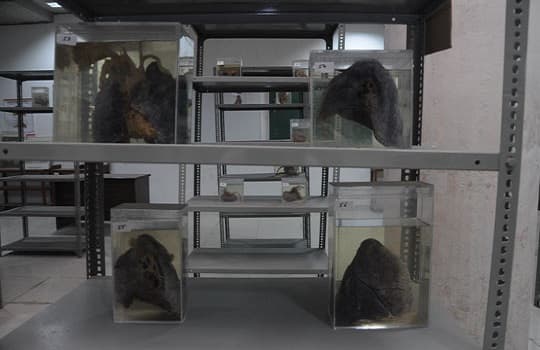 GMERS Medical College & Hospital Gandhinagar Campus photo 5